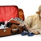 Doggy Welcome Kit