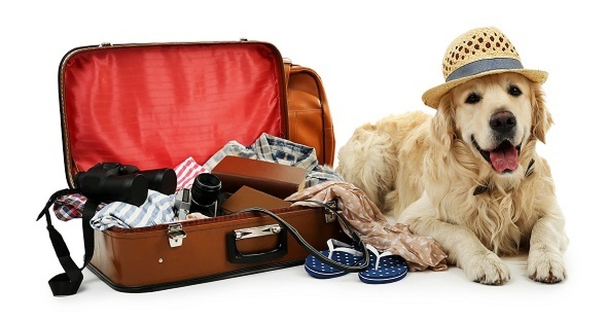Cortesie per Cani Doggy Welcome Kit