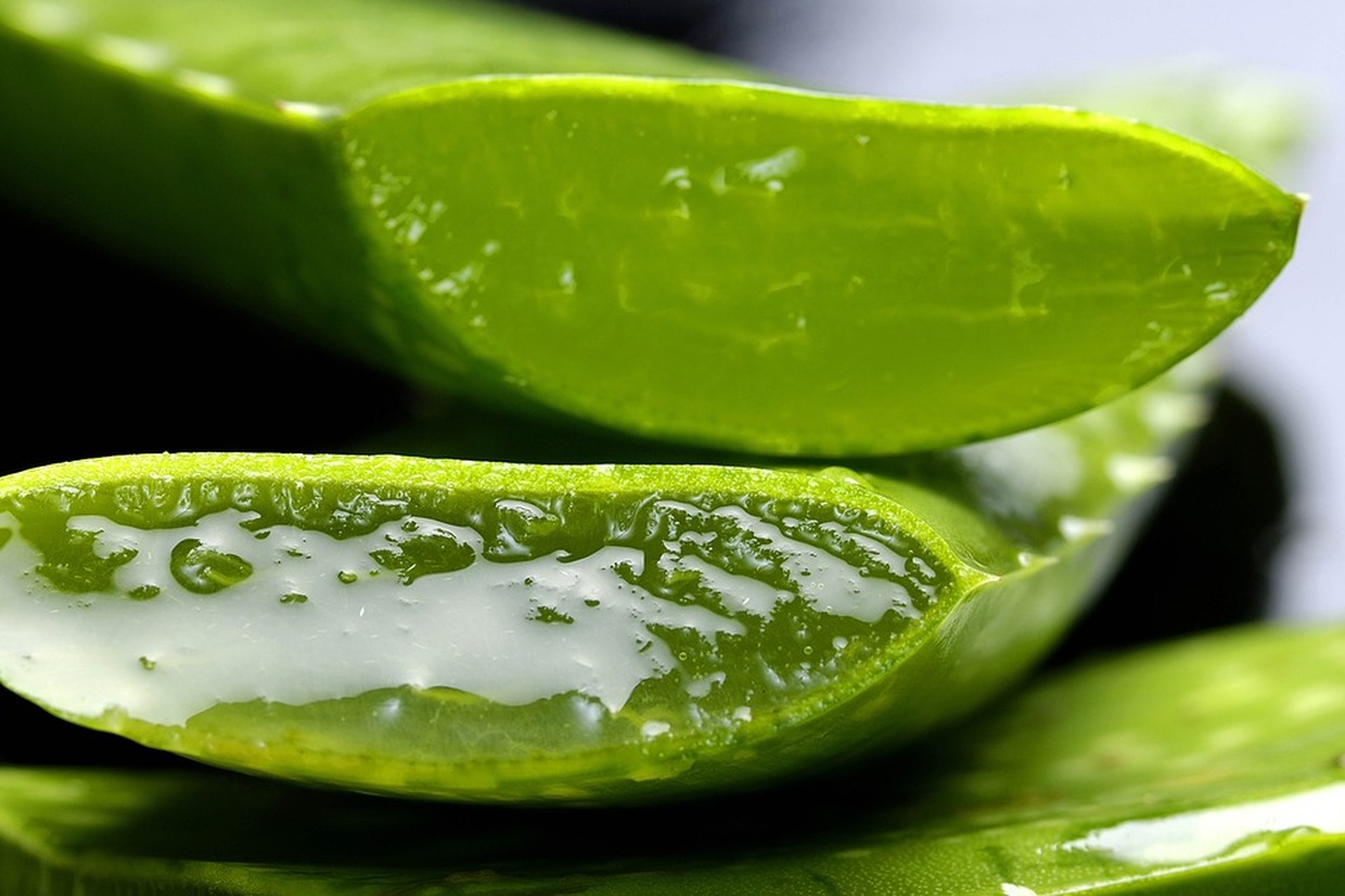 Le proprietà del gel di Aloe Vera